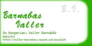 barnabas valler business card