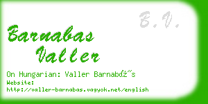 barnabas valler business card